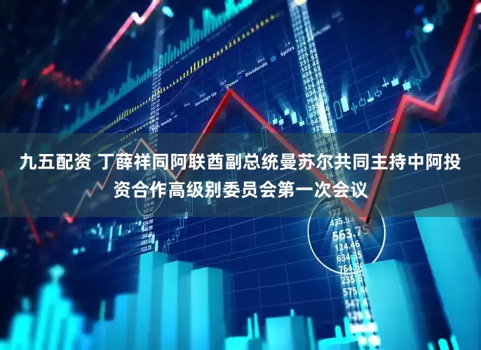 九五配资 丁薛祥同阿联酋副总统曼苏尔共同主持中阿投资合作高级别委员会第一次会议
