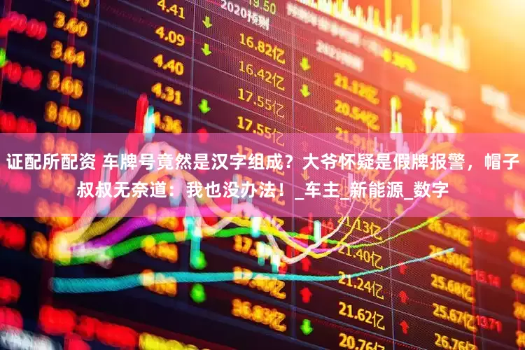 证配所配资 车牌号竟然是汉字组成？大爷怀疑是假牌报警，帽子叔叔无奈道：我也没办法！_车主_新能源_数字