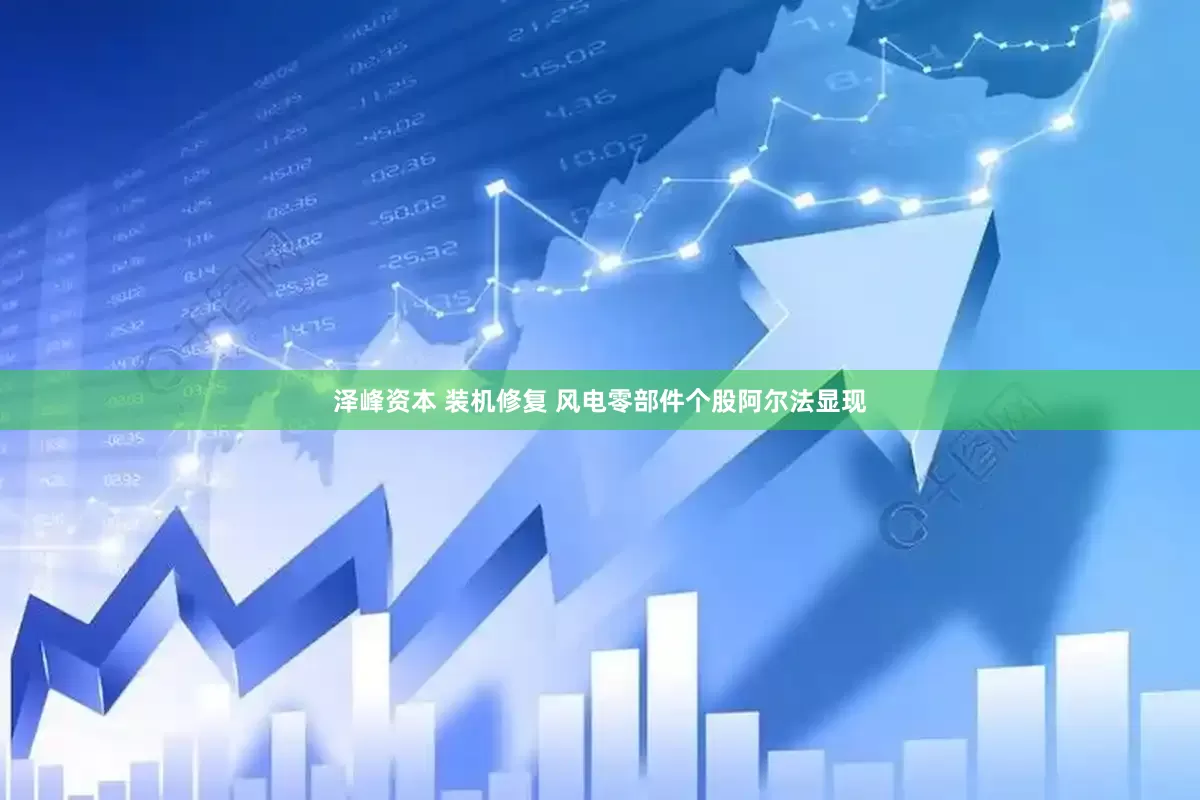 泽峰资本 装机修复 风电零部件个股阿尔法显现