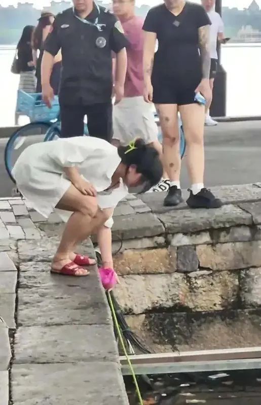 富配平台 游客偷摘荷花，西湖边一幕被拍！景区：已处罚